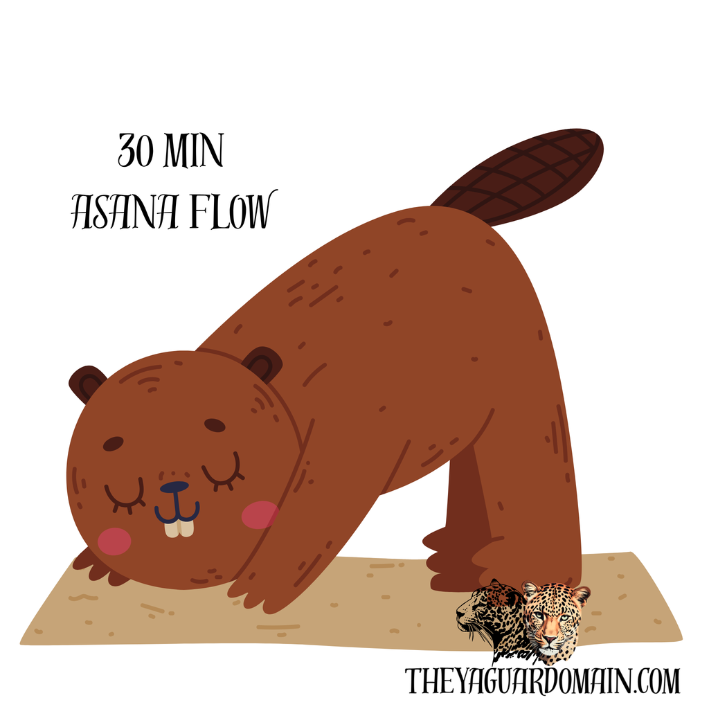 Asana Flow-30 min Virtual Session
