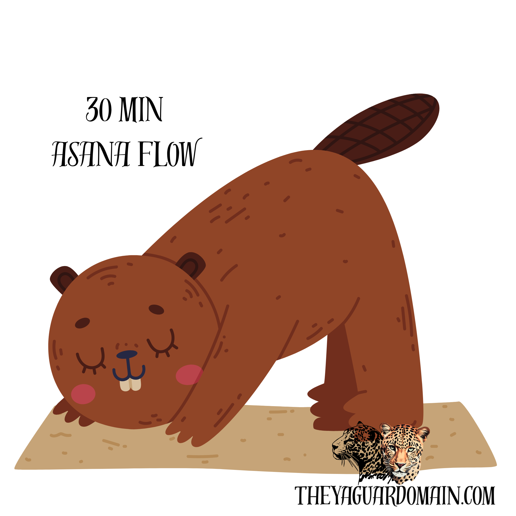 Asana Flow-30 min Virtual Session