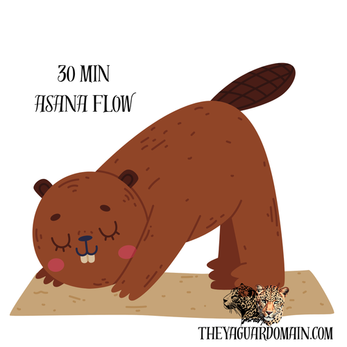 Asana Flow-30 min Virtual Session