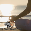 Guided Meditation-30 min Virtual Session
