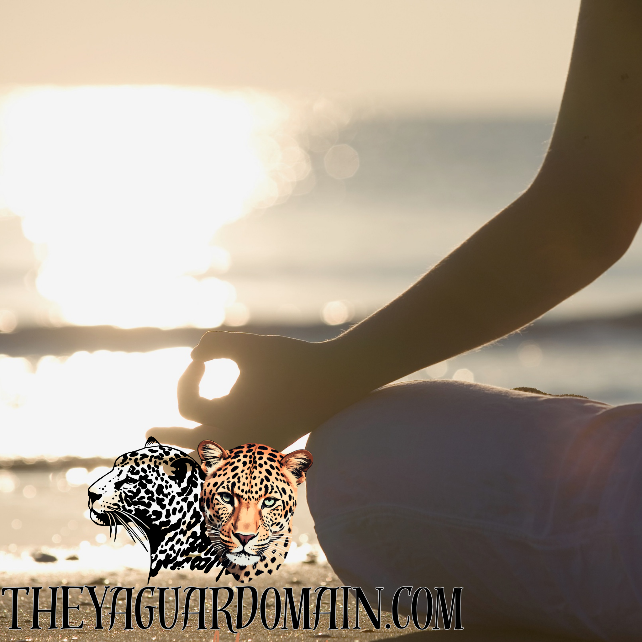 Guided Meditation-30 min Virtual Session