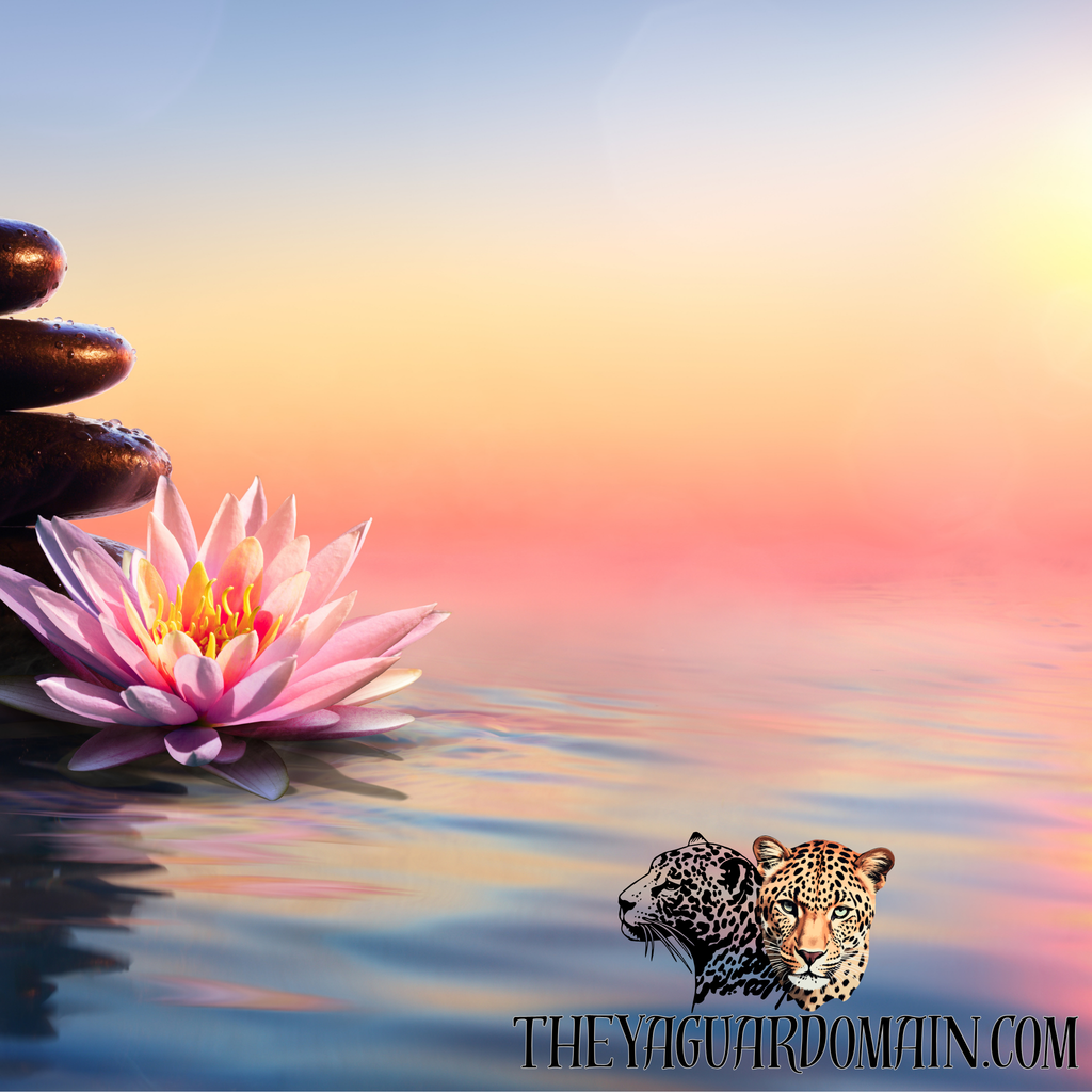 Guided Meditation-30 min Virtual Session